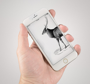 <span>Iphone 6 Mockup</span><i>→</i>